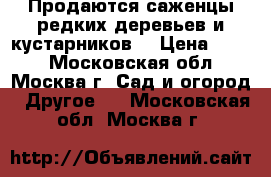 Продаются саженцы редких деревьев и кустарников  › Цена ­ 300 - Московская обл., Москва г. Сад и огород » Другое   . Московская обл.,Москва г.